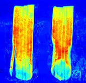 220px-Hyperspectral_image_of__sugar_end__potato_strips