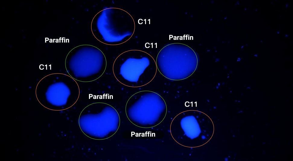 Paraffin + C11