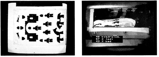 The history of machine vision 